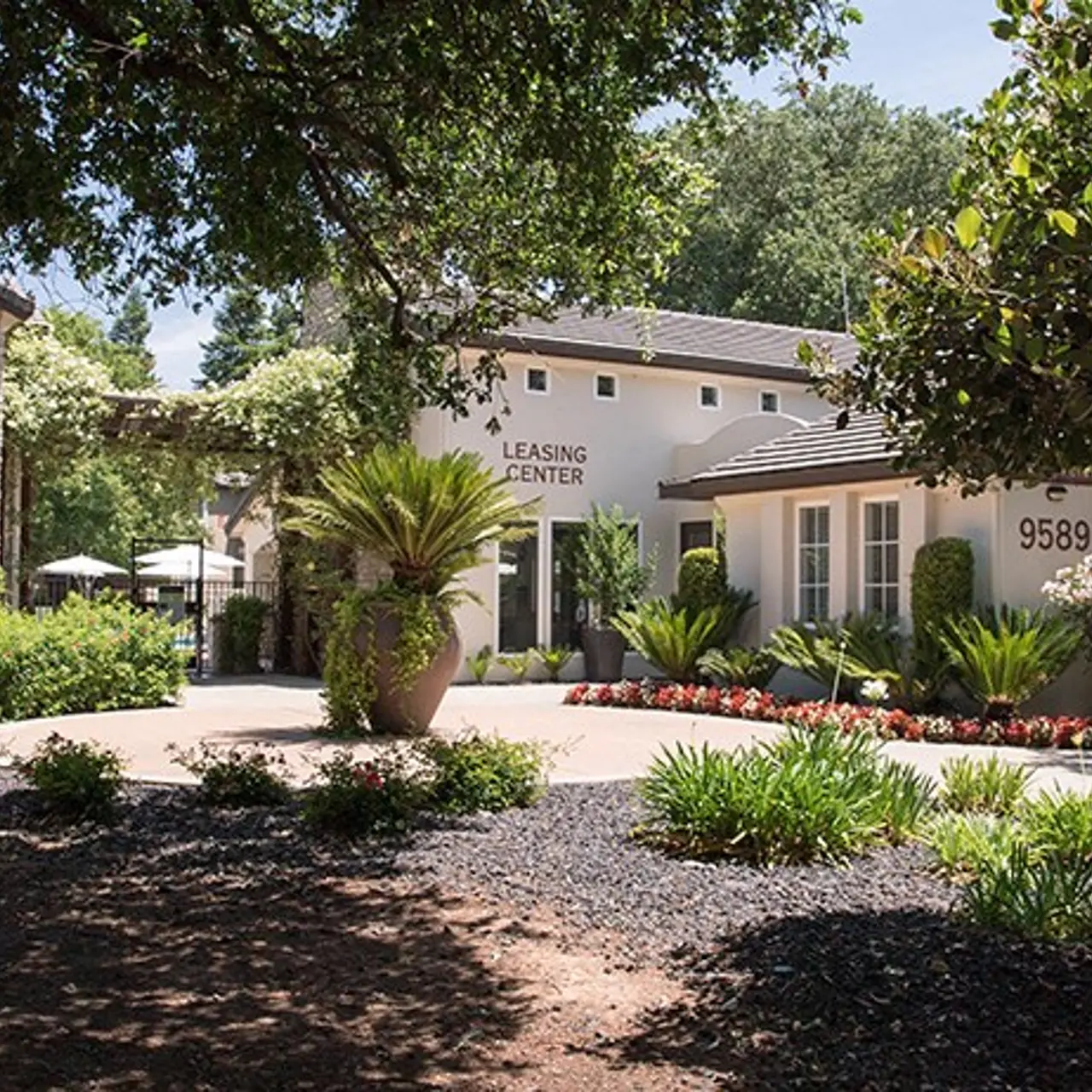 Lake Point - Tree, Yard, House