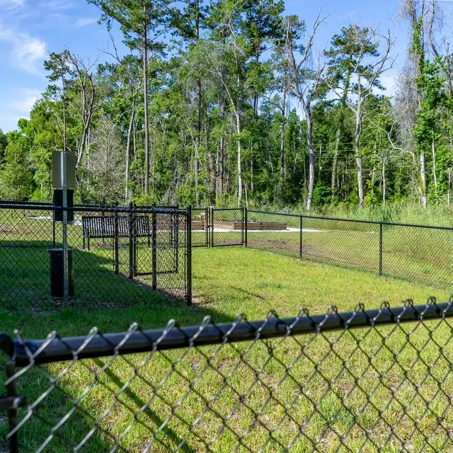 Rochester Park - Backyard, Nature, Outdoors