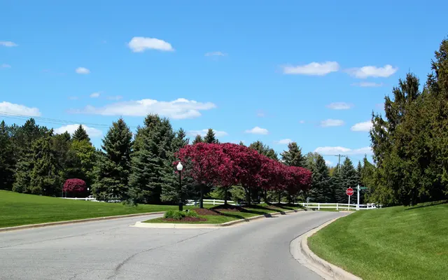Indian Lake Village Apartments - Grass, Nature, Outdoors