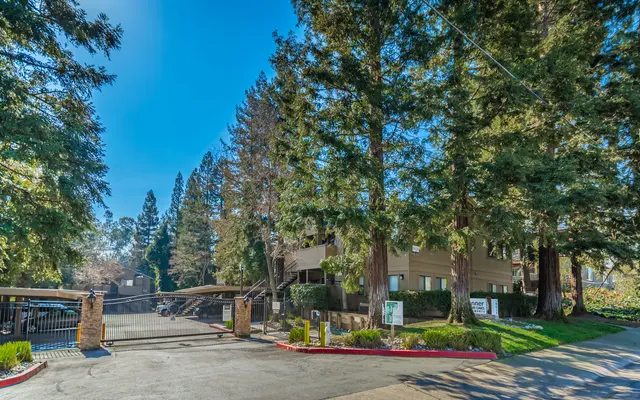 Donner at Fair Oaks - Tree, Neighborhood, Outdoors