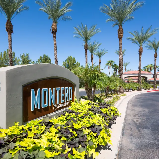 Montero at Dana Park