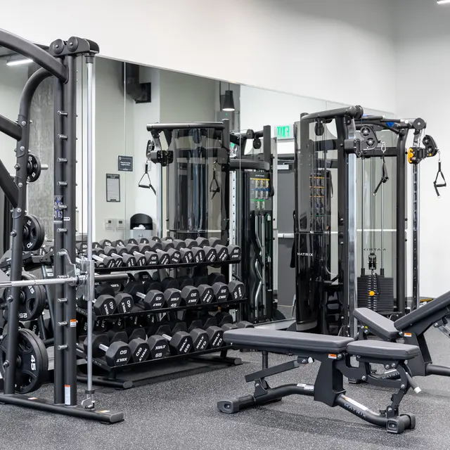 The Rodney - Working Out, Fitness, Gym