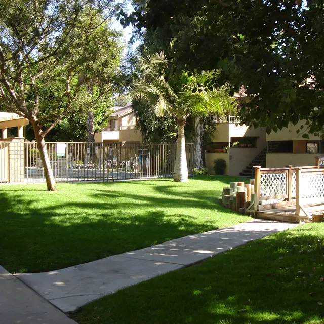 Colony Ridge Apartments - Grass, Plant, Backyard
