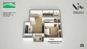 1 Bdrm 1 Ba - Deluxe