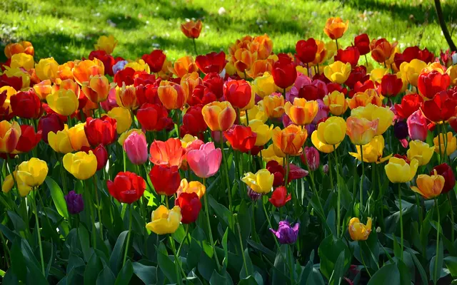 Coventry at Cityview Apartments - Nature, Outdoors, Spring