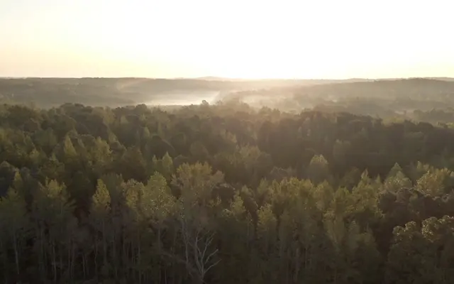 Rowland Colors - Nature