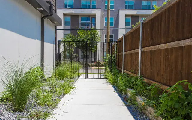 The Flats at 3981 - Backyard, Nature, Outdoors