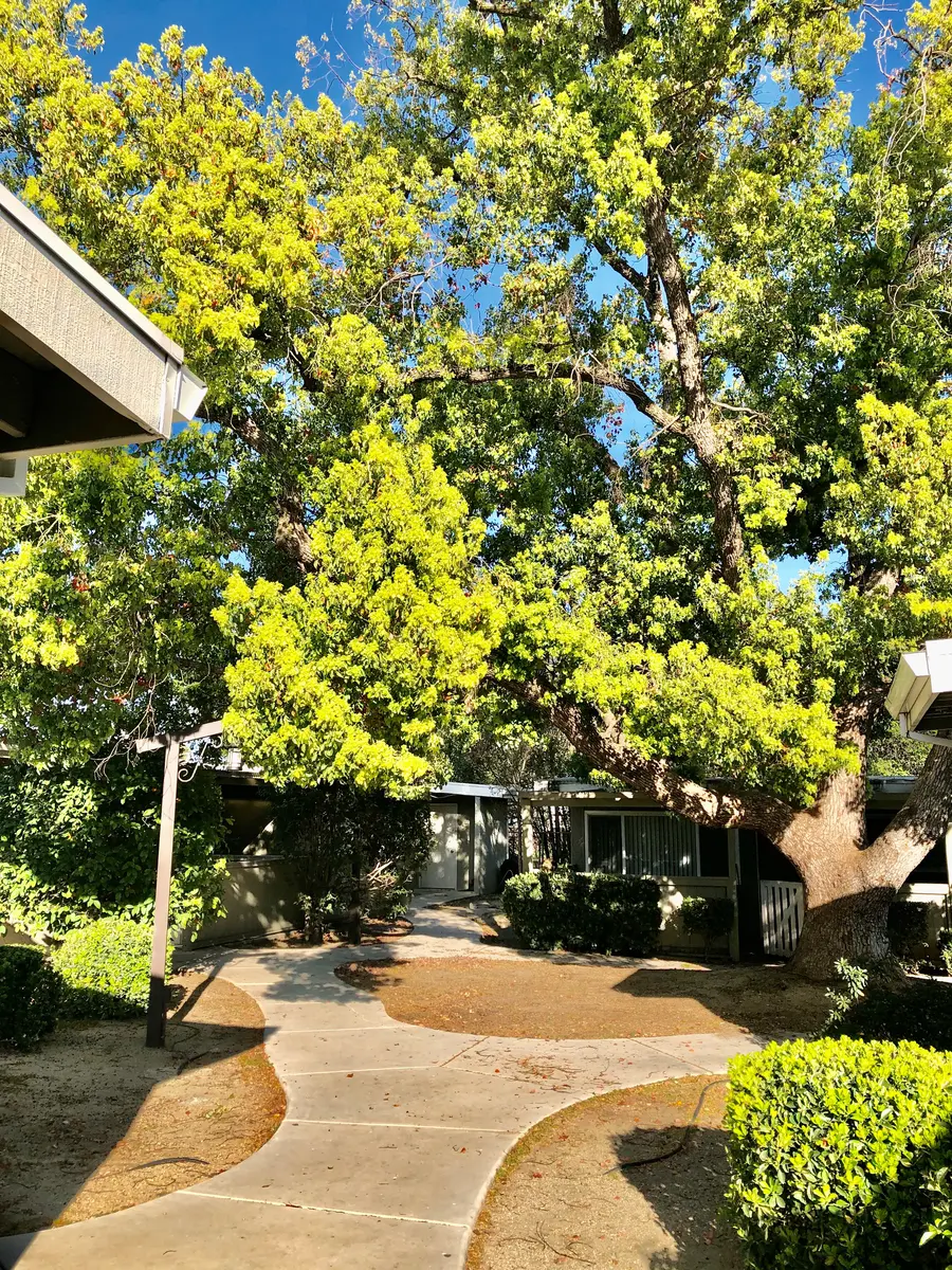 Oaks at River College