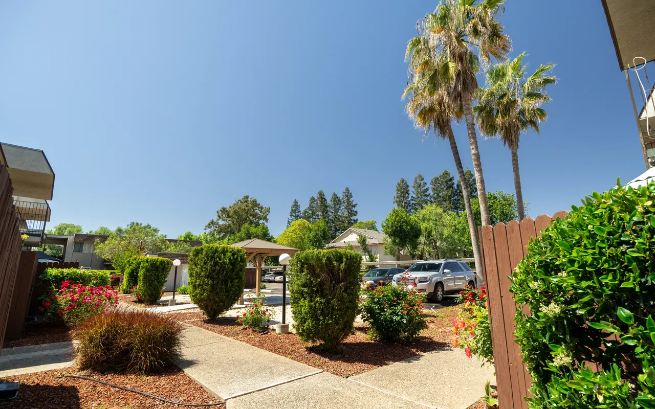 Cottage Square - Summer, Tree, Neighborhood
