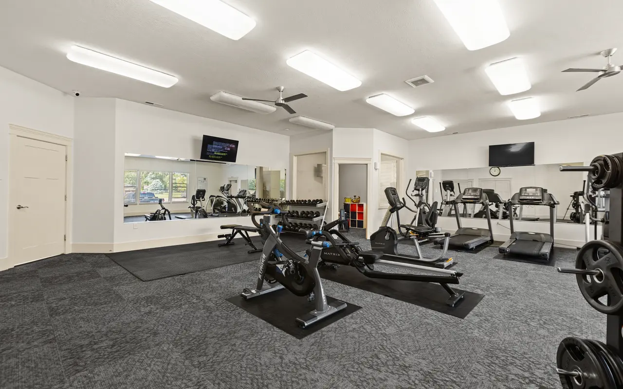 Modern Gym Interior A spacious gym interior featuring various workout equipment and large mirrors.