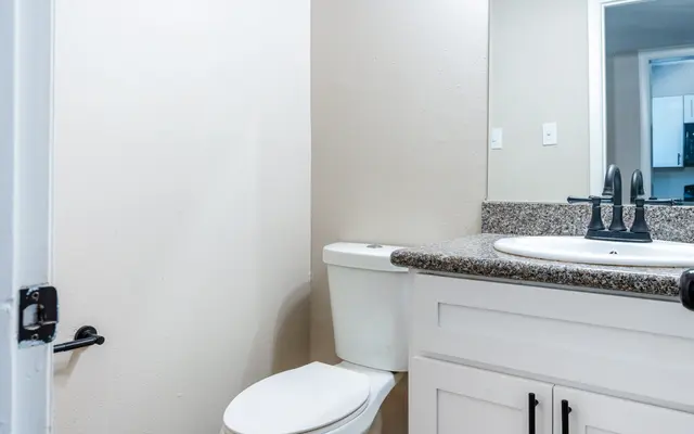 A modern bathroom featuring a white toilet, a granite countertop with a round sink, and a wall-mounted mirror.