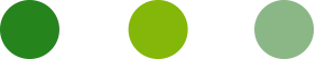 Shades of Green Color Palette A palette of three circles representing varying shades of green: a dark green, a bright lime green, and a light mint green.