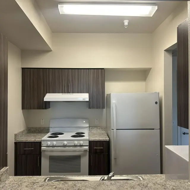 Modern Kitchen Design A modern kitchen showcasing a stainless steel stove, hood, and refrigerator with dark wood cabinetry and granite countertops.