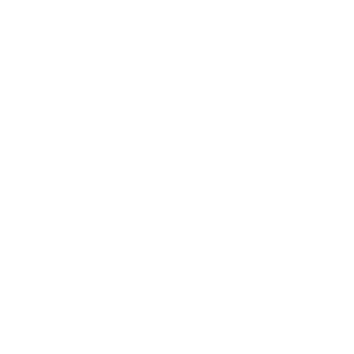Key Icon A simple white line drawing of two keys intertwined.