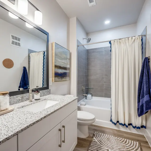 A contemporary bathroom featuring a spacious granite countertop with a sink and mirror, wooden decorative elements on the wall, a bathtub with a shower curtain, and a plant on the countertop.
