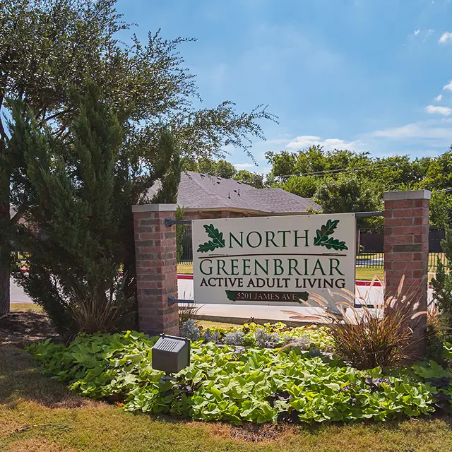 Oak Timbers North Greenbriar Elderly Oak Timbers North Greenbriar Elderly - Vegetation, Grass, Tree