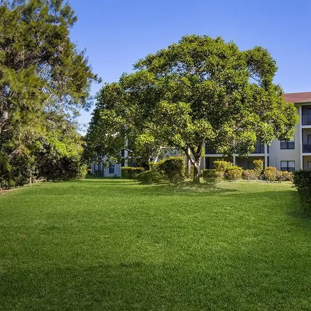 Spectra at Tamarac - Lawn, Park