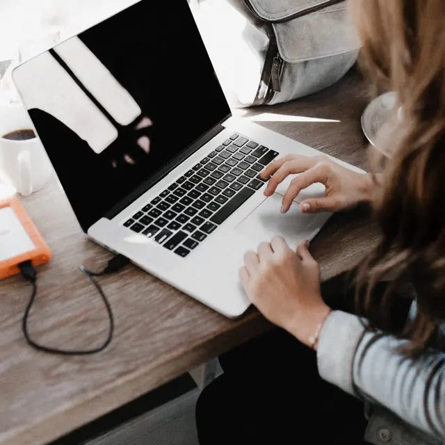 Magnolia Village - Pc, Computer, Electronics