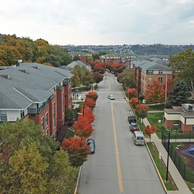 Autumn View of Suburban Neighborhood Aerial view of a suburban street lined with trees showing autumn colors, with residential buildings on one side and a playground on the other.