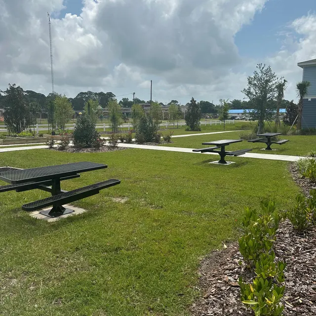 Denton Cove - Grass, Nature, Outdoors