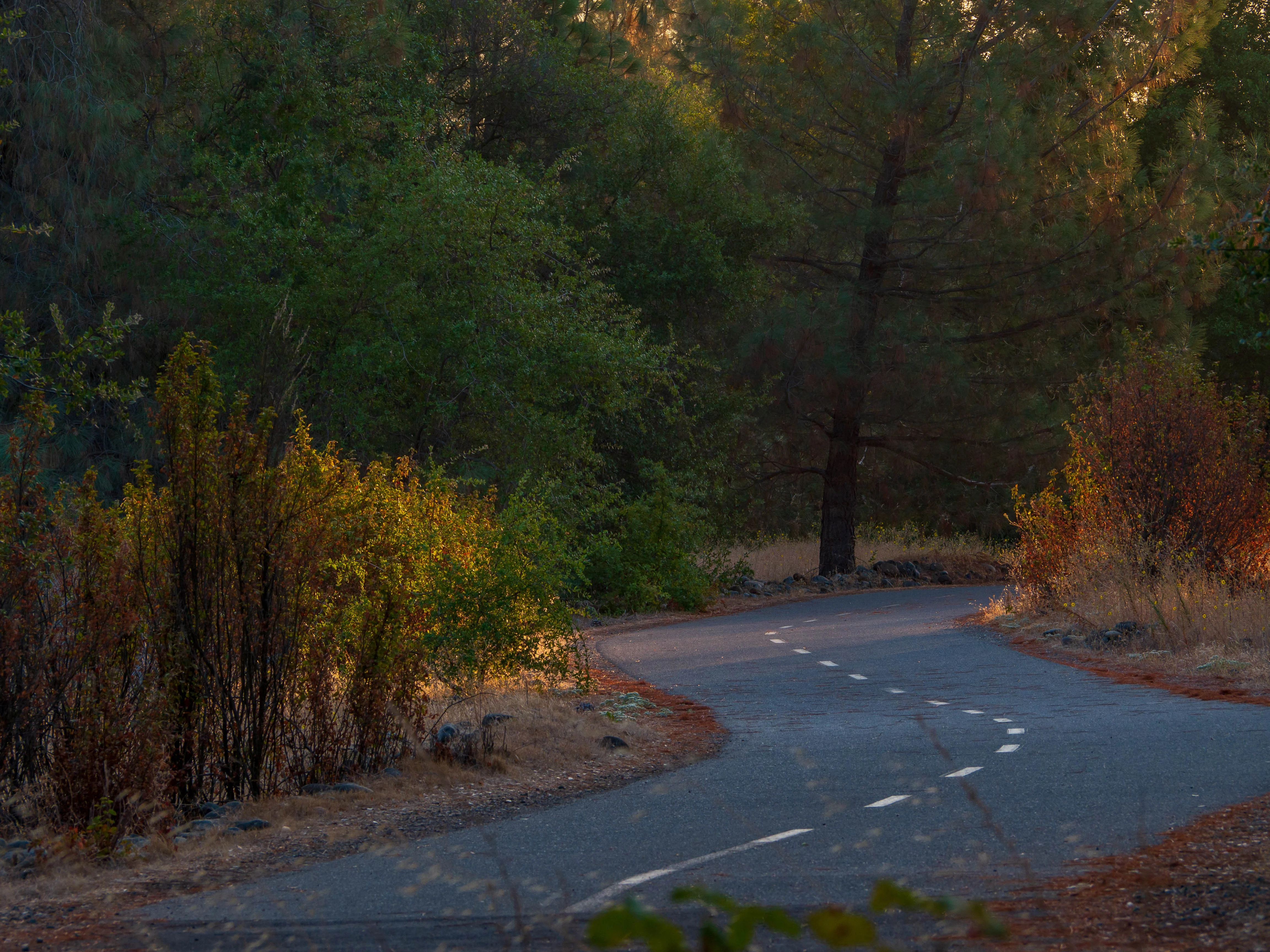 The Cottages The Cottages - Plant