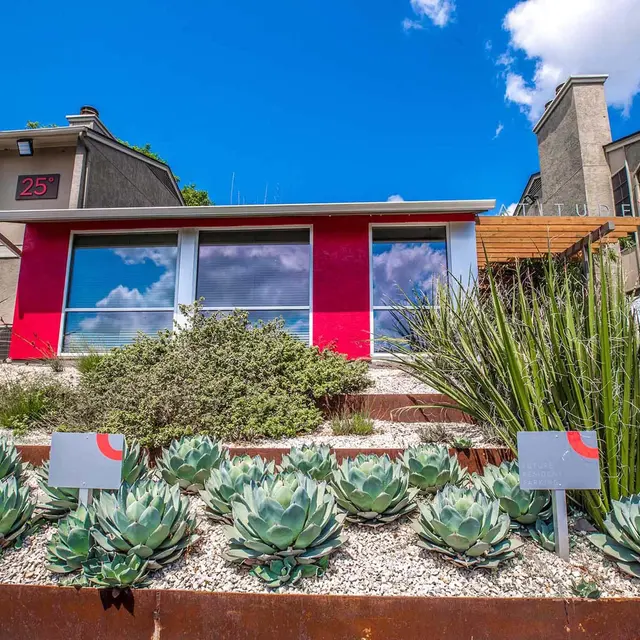 Serenity Residences Serenity Residences - Plant