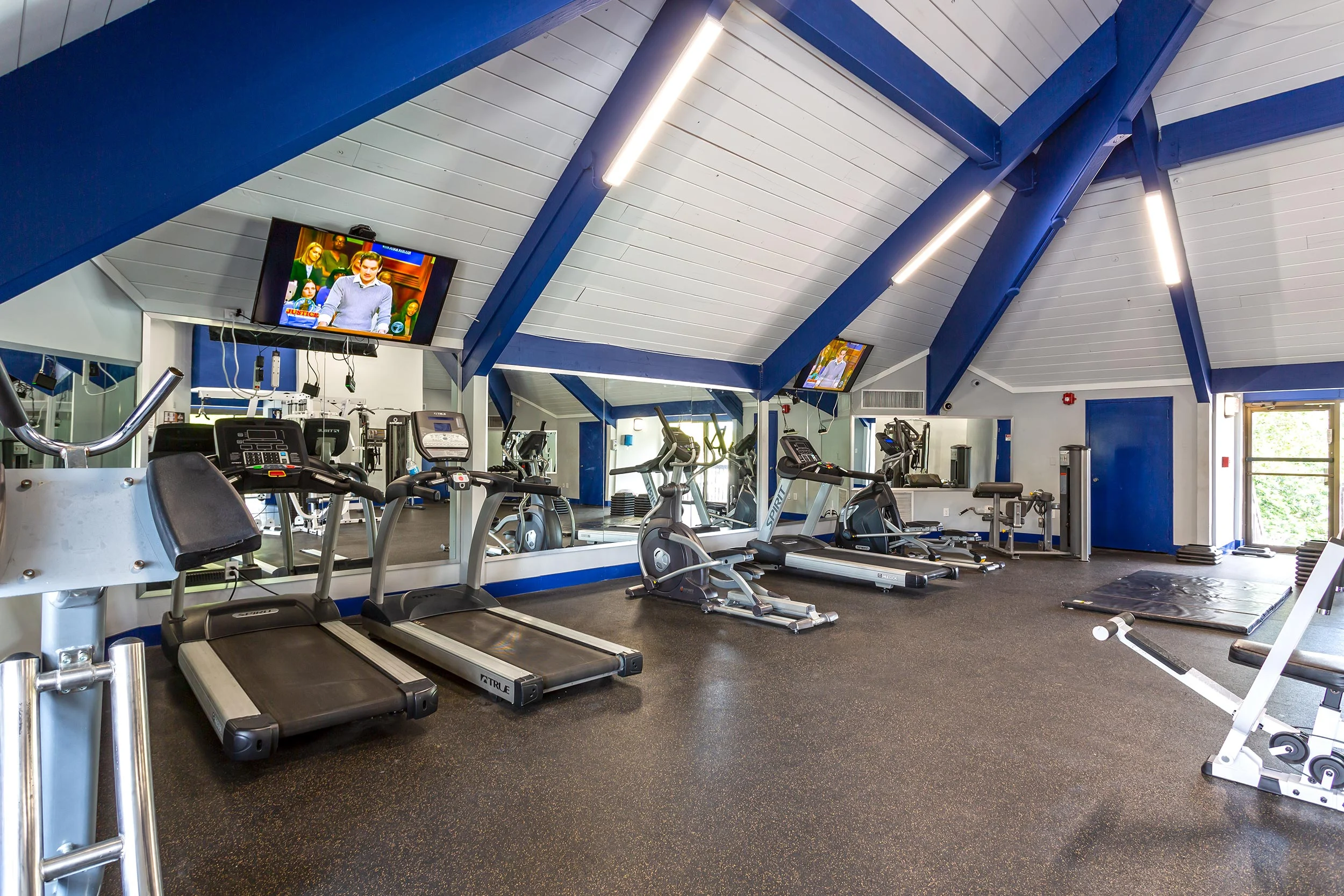 Biscayne - Gym, Human, Sport