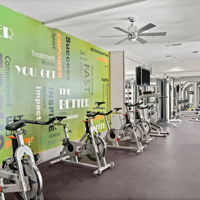 SYNC at Perimeter - Wheel, Bicycle, Ceiling Fan