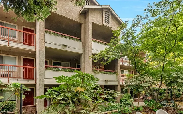 The Terraces at Capitol Park - Bush, Vase