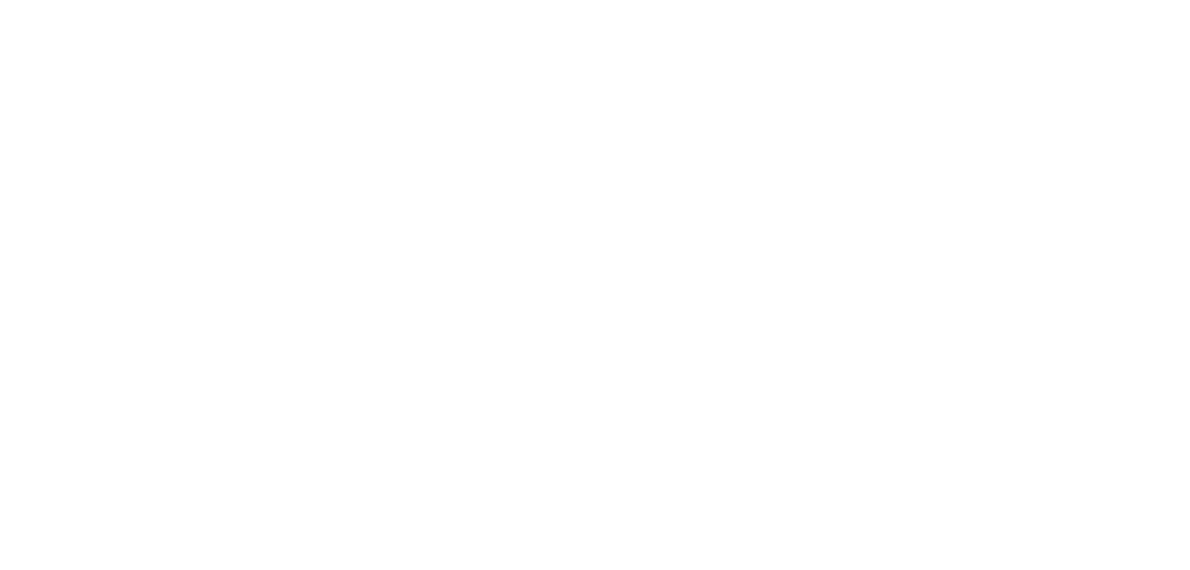 Aventine Northshore - Cutlery, White, Racket