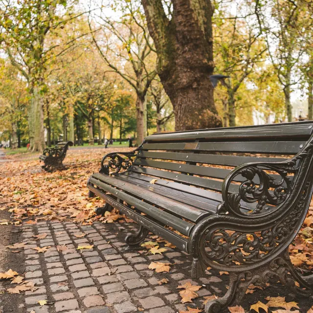 A decorative black park bench surrounded by fallen autumn leaves on a cobblestone path, with trees in the background displaying yellow foliage.