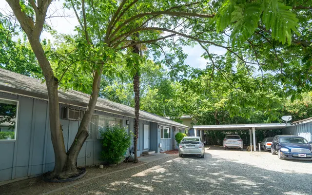 Camp Marconi - City, Tree, License Plate