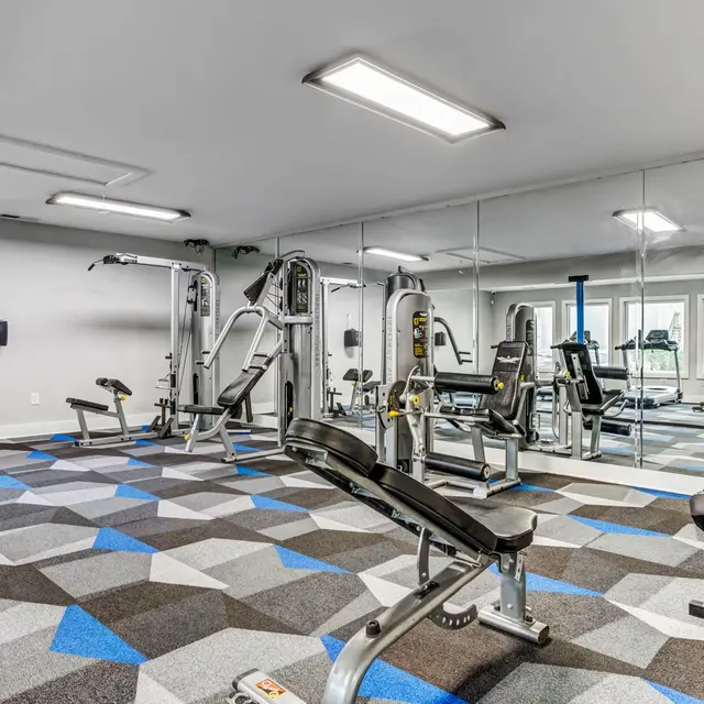 A modern gym with various exercise machines, free weights, and large mirrors, featuring a patterned carpet.