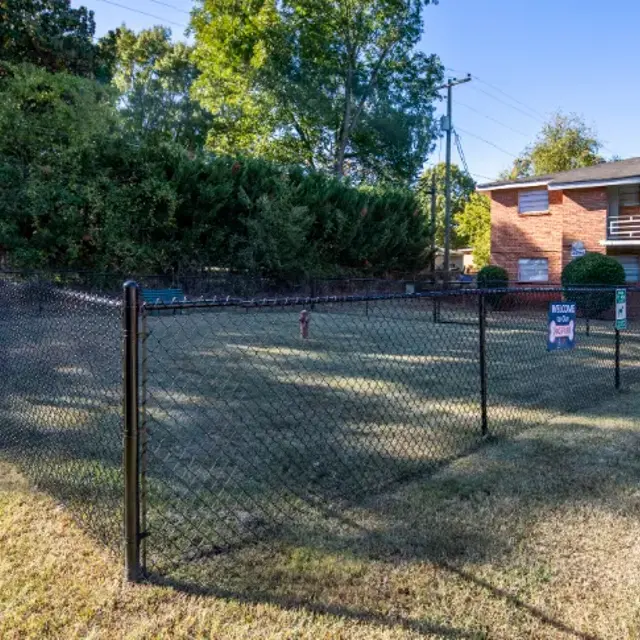 Axis at Rocket City - Backyard, Nature, Outdoors