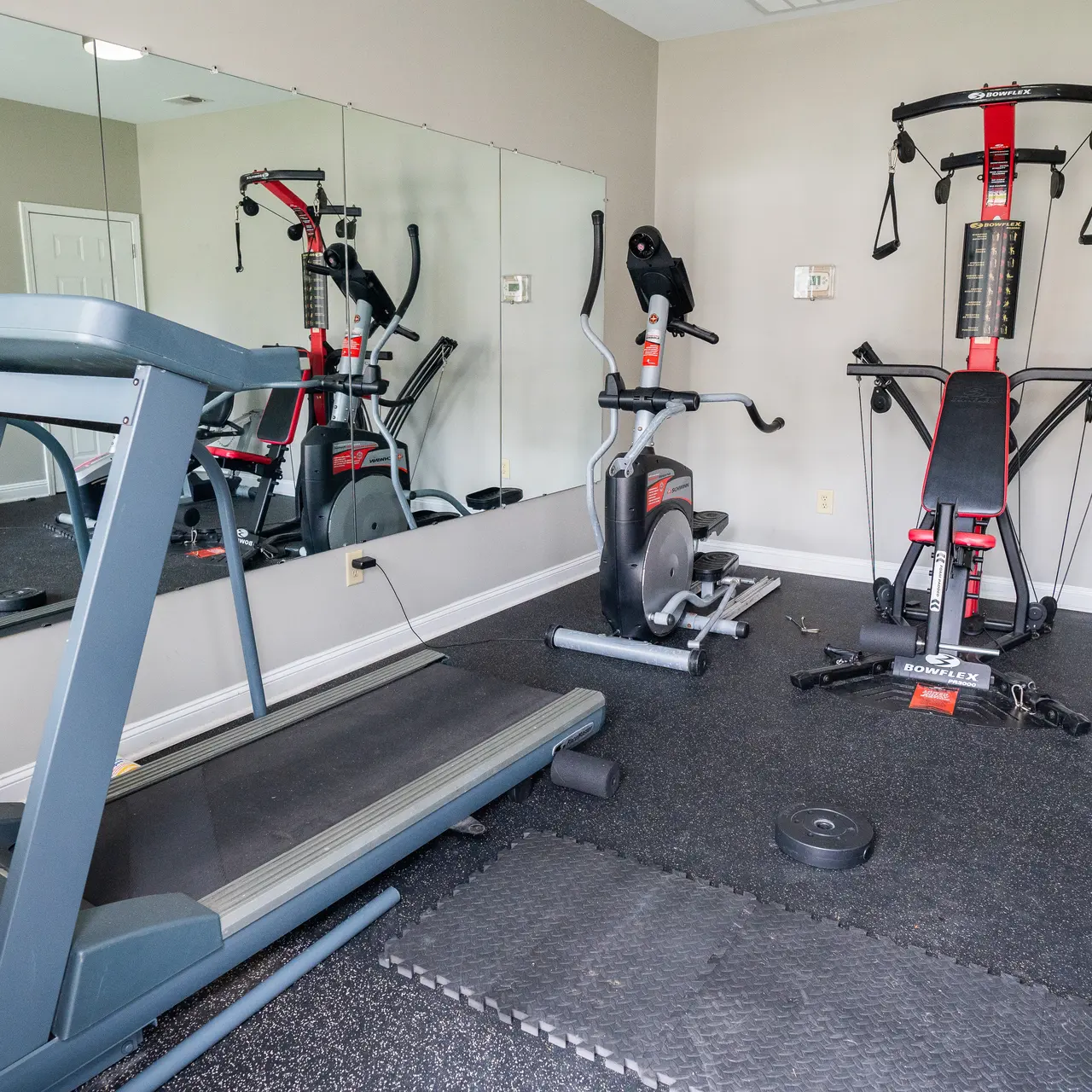 Crown at Steeplechase - Working Out, Exercise, Sport