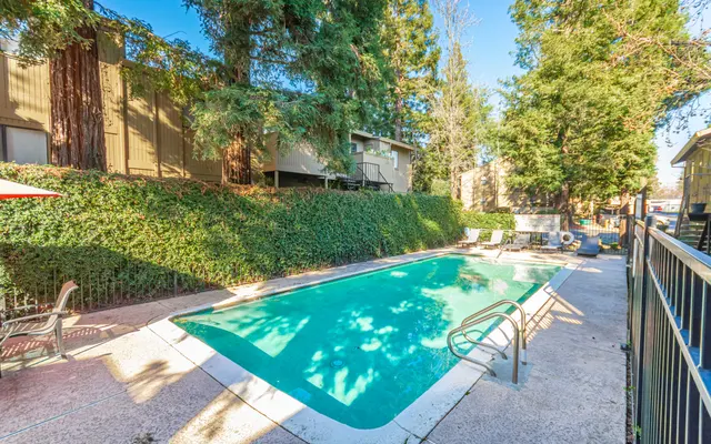 Donner at Fair Oaks - Backyard, Nature, Outdoors