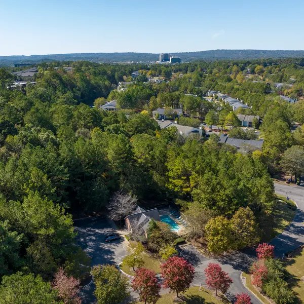 Skylar Ridge - Vegetation, Land, Nature