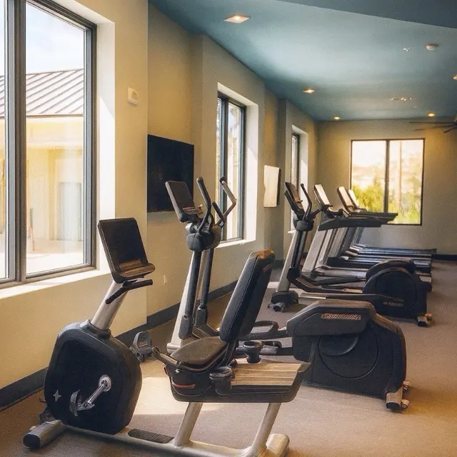 A bright gym interior featuring several stationary bikes lined up in front of large windows. The room has a modern design with light-colored walls and well-lit ambiance.