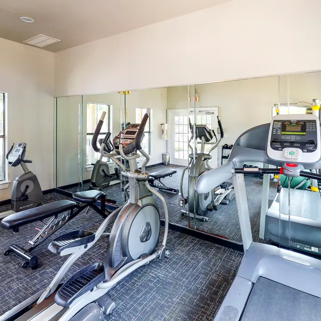 Modern Gym Interior A well-equipped gym with various exercise machines including treadmills and elliptical trainers, surrounded by mirrors and natural light.