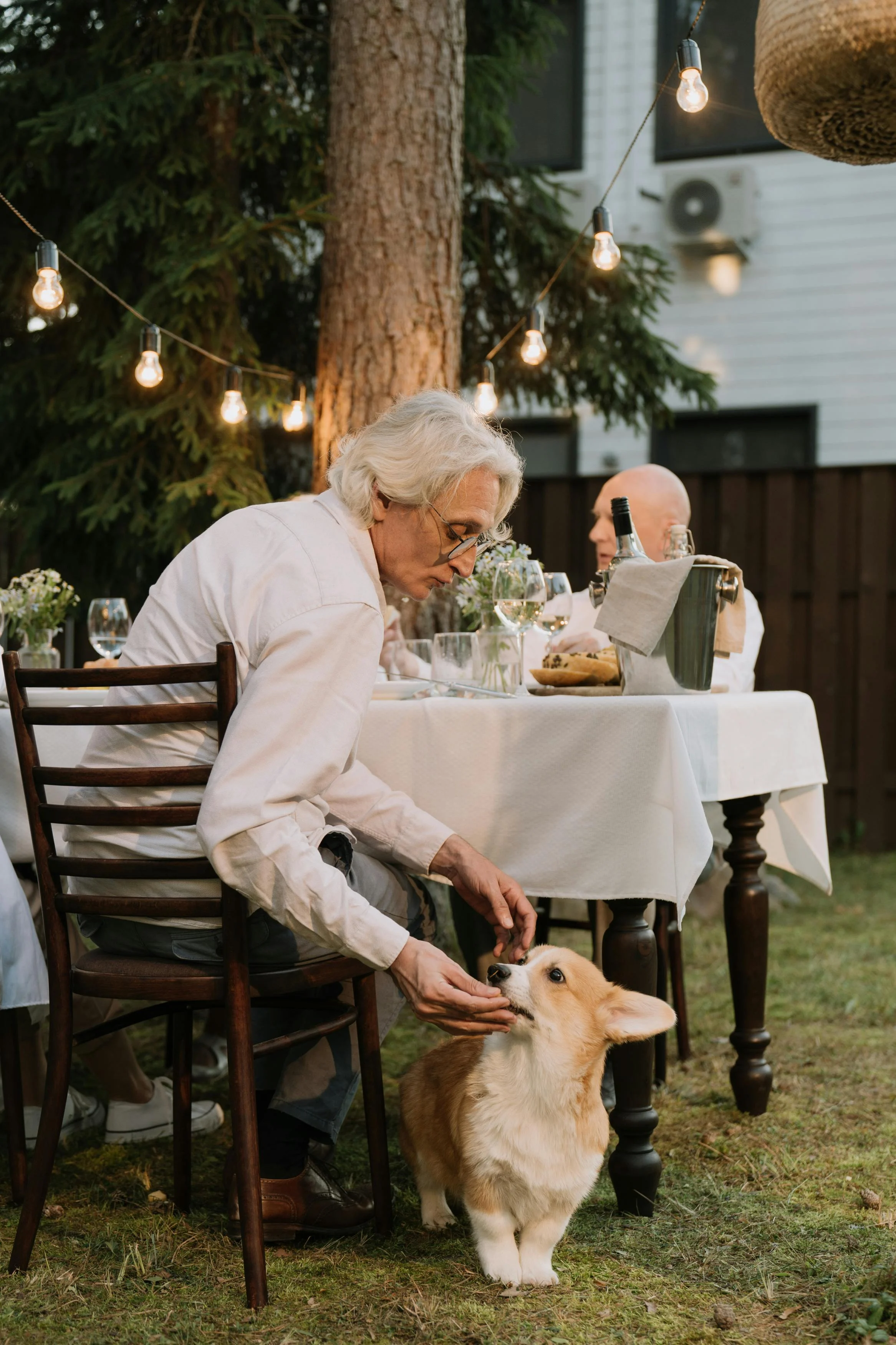 An elderly man is sitting at a dining table outdoors, interacting affectionately with a corgi dog. The scene is set in a beautifully decorated outdoor area with string lights and a wooden table. Another person is seated at the table, with glasses and dishes set up for a meal.