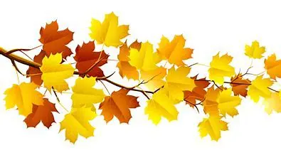 Falls and Oak Village - Leaf, Maple Leaf, Tree