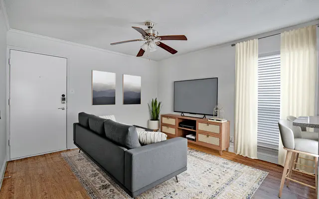 furnished Living Room