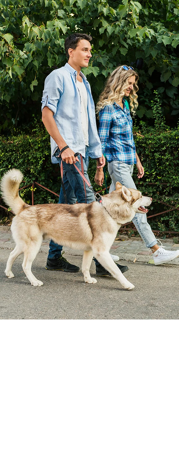 4000 Horizon Hill 4000 Horizon Hill - Dog, Pet, Husky