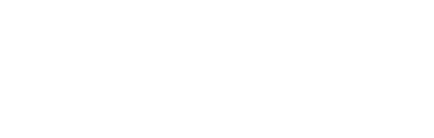 Mineral Springs Commons