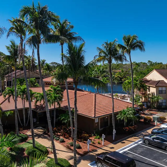 Aerial view of a tropical resort with palm trees, a lake, and parked cars.