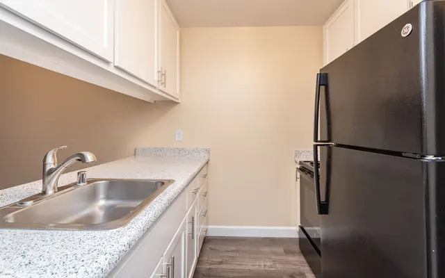 Donner at Fair Oaks - Sink, Sink Faucet, Appliance