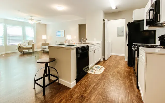 Pinnacle at Hammock Place Apts - Indoors, Room, Flooring