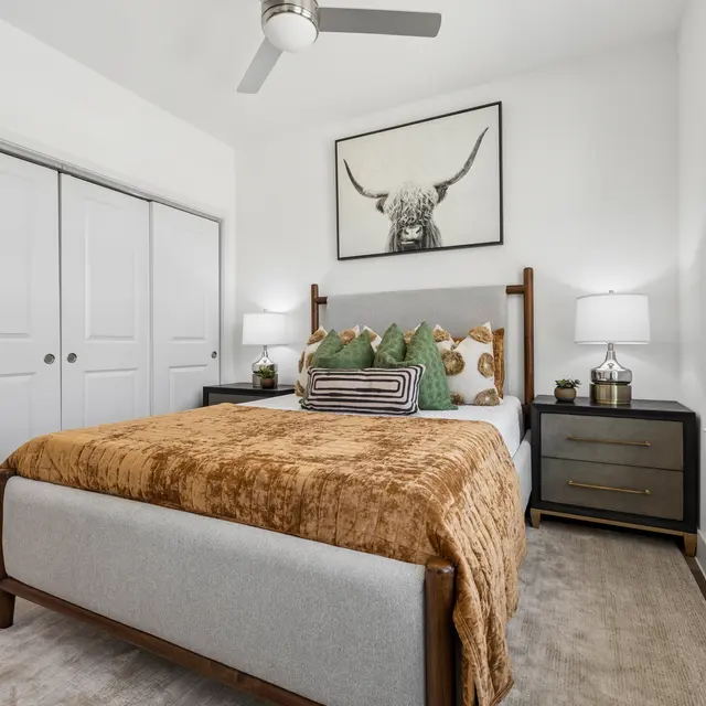 Modern Bedroom Design A modern bedroom featuring a bed with a plush tan throw, decorative pillows, two bedside lamps, and a large piece of art depicting a longhorn. The room has a light color palette with white walls and carpet, and a closet with double doors is visible.
