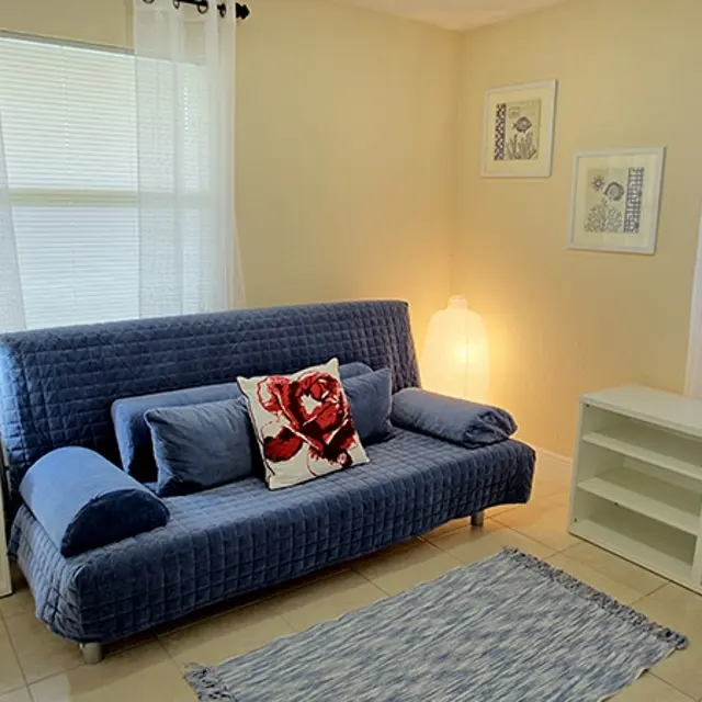 Woodlawn​ Park - Couch, Lamp, Rug