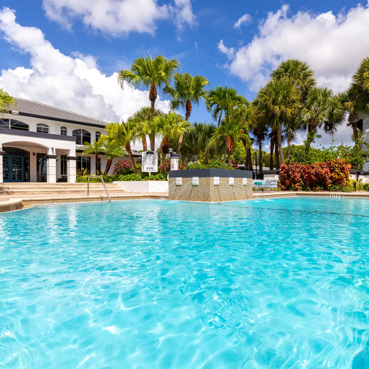 shimmering swimming pool 